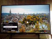Продам недорого в Красноярске Телевизор ЖК Sony bravia 32(80, 1 см) в идеальном состоянии,  Smart TV,  Full HD,  встроенный WiFi,  HDMI,   встроенный цифровой TV тюнер